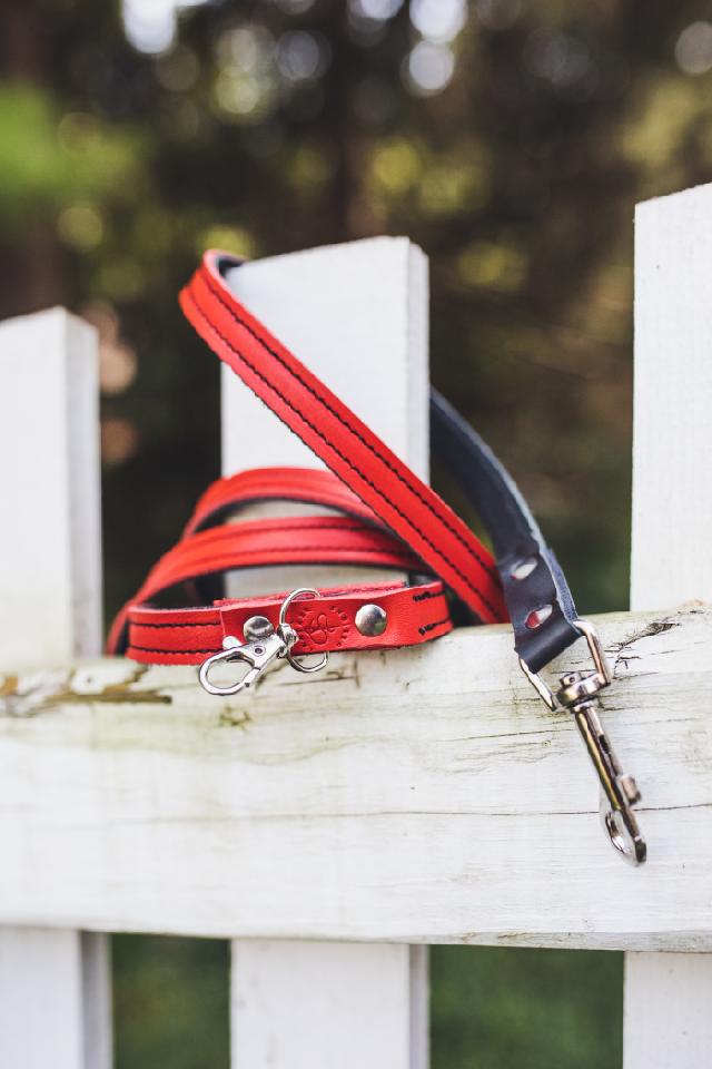handmade Scarlet & Gray leather dog Leash bbk image by Whitney Brewer Photography