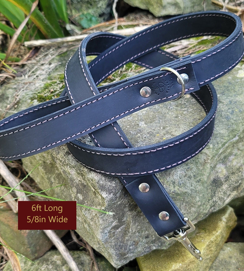 Deluxe Leather Leash
